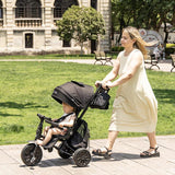 Tricicleta ultrapliabila Qplay Nova MAX Bej