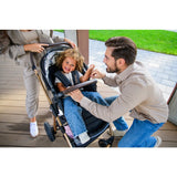 Carucior 2 in 1, Lionelo, Amber, Cadru aluminiu, Cu landou intarit si salteluta moale, Reversibil, Maner ajustabil, Huse pentru picioare, ploaie, Plasa de tantari, Geanta parinti, Pana la 22 kg, EN1888-1, EN1888-2, EN1466, Bej