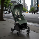 Carucior sport, Jane, Wing, Sistem compact de pliere, Cadru din aluminium, Usor, 6 Kg, De la nastere pana la 22 Kg, Cu geanta transport si husa de ploaie, Conform cu standardul european EN 1888-1:2018+A1:2022, Botanic