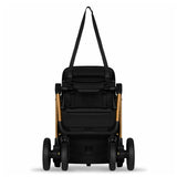 Carucior sport, Lionelo, Cloe, Cu accesorii, Cadru din aluminiu, Pana la 22 kg, Usor, Pliere compacta pentru avion, cu o singura mana, Ideal pentru toate tipurile de suprafete, 6 luni+, Black Onyx