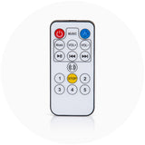 Leagan electric Chipolino Oasis pink