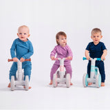 Bicicleta fara pedale, Lionelo, Villy, Cu 4 roti, Din spuma EVA si TPR, Stabila, Manere moi, antiderapante, 12- 36 luni, Sustine pana la 30 kg, Certificata EN 71-1:2014, EN 71-2:2011, EN 71-3:2019, Roz