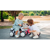 Bicicleta fara pedale, Lionelo, Sammy, Cu 4 roti, Din spuma EVA, Stabila, Manere moi, antiderapante, 12- 36 luni, Greutate maxima suportata 25 kg, Certificata EN 71-1:2014, EN 71-2:2011, EN 71-3:2019, Roz