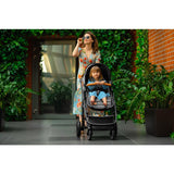 Carucior 2 in 1, Lionelo, Amber, Cadru aluminiu, Cu landou intarit si salteluta moale, Reversibil, Maner ajustabil, Huse pentru picioare, ploaie, Plasa de tantari, Geanta parinti, Pana la 22 kg, EN1888-1, EN1888-2, EN1466, Gri deschis