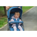 Carucior sport, Lionelo, Annet Plus, De la nastere, Cu accesorii si capotina XXL reglabila, 0 - 22 Kg, Conform cu standardele europene de securitate EN1888-1 si EN1888-2, Verde