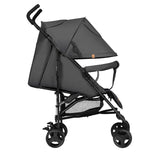 Carucior sport, Lionelo, Elia, Cu plasa de tantari, Conform cu standardul european de securitate EN1888-1, Gri