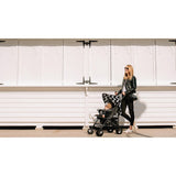 Carucior sport, Lionelo, Elia Oslo, Cu plasa de tantari, Conform cu standardul european de securitate EN1888-1, Negru