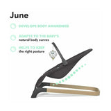 Fotoliu balansoar, Lionelo, June, Cu arcada cu jucarii, Ergonomic, Balansare manuala, Pliabil, 0 luni+, Gri