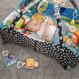 Salteluta interactiva, Lionelo, Anika, Cu jucarii, Oglinda, Perna, Conform cu standardul european de securitate EN71, Multicolor