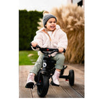 Tricicleta copii, Lionelo, Haari, Ultrapliabila, Multifunctionala, Suport picioare, Control al directiei, Scaun reversibil, Rotire 360 grade, Conform cu standardul european de securitate EN71, Gri