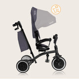 Tricicleta copii, Lionelo, Tris Plus, Ultrapliabila, Multifunctionala, Pana la 25 kg, Inclinare spatar in fata si in spate, Suport picioare, Control al directiei, Scaun reversibil, Rotire 360 grade, Conform cu EN71, 9 luni-5 ani, Gri