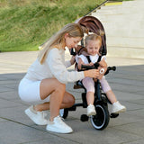 Tricicleta copii, Lionelo, Tris Plus, Ultrapliabila, Multifunctionala, Pana la 25 kg, Inclinare spatar in fata si in spate, Suport picioare, Control al directiei, Scaun reversibil, Rotire 360 grade, Conform cu EN71, 9 luni-5 ani, Gri