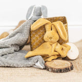 Paturica, Nattou, De plus, Moale, Cu melodie, Cu jucarie dentitie, Primul prieten al celor mici, 50x50 cm, 0 luni+, Grey/White