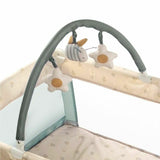 Patut pliant, Jane, Duo Level, Cu roti, Cu arcada cu jucarii, Geanta de transport, Cu doua nivele, Conform standardelor europene EN 716-1:2017+AC:2019EN 16890:2017 + A1:2021, Botanic