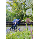 Carucior sport, Petite&Mars, Royal, Include husa pentru scaun, husa pentru picioare, geanta pentru scutece si capotina extensibila, Cu fereastra, Impermeabila, Cu SPF 50, Aluminiu, 0-22 kg, 111 x 57 x 86 cm, Ocean Blue