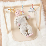 Saltea de infasat, Nattou, Softy, Moale, Utilizabil si fara husa, Design ergonomic, Spuma PU, 70x50x10 cm, Fara BPA, 0 luni+, Beige