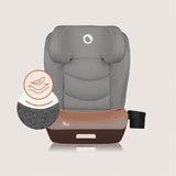 Scaun auto i-Size, Lionelo, Neal, Spatar reglabil in 4 pozitii, Tetiera in 10 pozitii, Suport sticla inclus, 15-36 Kg, 100-150 cm, Cu Isofix, Conform ECE R129, Verde Turquoise