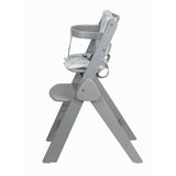 Scaun de masa, FreeON, Finny Fold, 6 luni - 15 Kg, Reglabil pe inaltime, Pernuta, Pliabil, Gray