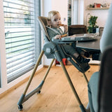 Scaun de masa, FreeON, Kai,Pana la 15 kg, Inaltime reglabila in 8 pozitii, Suport de picioare reglabil in 3 pozitii, Reglare spatar in 4 pozitii, Cu tavita reglabila, 6-36 luni, Coffee