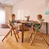 Scaun de masa multifunctional Megan, Lionelo, Din lemn de fag, 6 luni- adult, Reglabil pe inaltime, Husa impermeabila, Tavita silicon, Suport de picioare reglabil, Greutate maxima 110 Kg, Verde