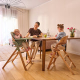 Scaun de masa multifunctional Megan, Lionelo, Din lemn de fag, 6 luni- adult, Reglabil pe inaltime, Husa impermeabila, Tavita silicon, Suport de picioare reglabil, Greutate maxima 110 Kg, Verde