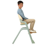 Scaun de masa multifunctional Noah, Jane, De la 6 luni la adult, Din lemn fag, Husa lavabila, Greutate maxima 100 Kg, Pale