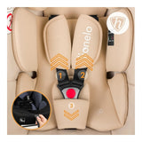 Scoica auto, Lionelo, i-Size Astrid, Include baza Isofix, 0-13 Kg, 40-87 cm, Cu maner si capotina reglabile, Cu protectie laterala avansata, Salteluta confortabila, Testat ADAC, Conform cu R129, Bej