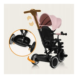 Tricicleta copii, Lionelo, Berry, 2 in 1, Multifunctionala, Suport picioare, Control al directiei, Scaun reversibil, Rotire 360 grade, Functie de roata libera, Utilizare pana la 5 ani, Constructie din otel, Conform cu standardul EN71, Roz