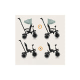 Tricicleta copii, Lionelo, Berry, 2 in 1, Multifunctionala, Suport picioare, Control al directiei, Scaun reversibil, Rotire 360 grade, Functie de roata libera, Utilizare pana la 5 ani, Constructie din otel, Conform cu standardul EN71, Roz