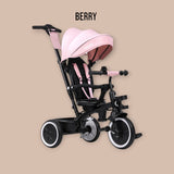 Tricicleta copii, Lionelo, Berry, 2 in 1, Multifunctionala, Suport picioare, Control al directiei, Scaun reversibil, Rotire 360 grade, Functie de roata libera, Utilizare pana la 5 ani, Constructie din otel, Conform cu standardul EN71, Roz