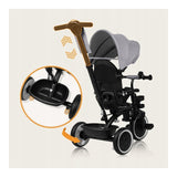 Tricicleta copii, Lionelo, Berry, 2 in 1, Multifunctionala, Suport picioare, Control al directiei, Scaun reversibil, Rotire 360 grade, Functie de roata libera, Utilizare pana la 5 ani, Constructie din otel, Conform cu standardul EN71, Gri