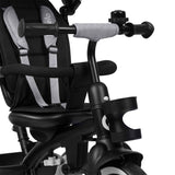 Tricicleta copii, Lionelo, Berry, 2 in 1, Multifunctionala, Suport picioare, Control al directiei, Scaun reversibil, Rotire 360 grade, Functie de roata libera, Utilizare pana la 5 ani, Constructie din otel, Conform cu standardul EN71, Gri