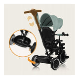 Tricicleta copii, Lionelo, Berry, 2 in 1, Multifunctionala, Suport picioare, Control al directiei, Scaun reversibil, Rotire 360 grade, Functie de roata libera, Utilizare pana la 5 ani, Constructie din otel, Conform cu standardul EN71, Verde