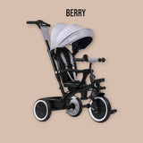 Tricicleta copii, Lionelo, Berry, 2 in 1, Multifunctionala, Suport picioare, Control al directiei, Scaun reversibil, Rotire 360 grade, Functie de roata libera, Utilizare pana la 5 ani, Constructie din otel, Conform cu standardul EN71, Gri