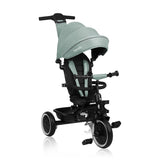 Tricicleta copii, Lionelo, Berry, 2 in 1, Multifunctionala, Suport picioare, Control al directiei, Scaun reversibil, Rotire 360 grade, Functie de roata libera, Utilizare pana la 5 ani, Constructie din otel, Conform cu standardul EN71, Verde