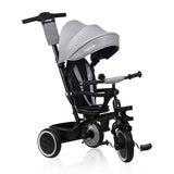 Tricicleta copii, Lionelo, Berry, 2 in 1, Multifunctionala, Suport picioare, Control al directiei, Scaun reversibil, Rotire 360 grade, Functie de roata libera, Utilizare pana la 5 ani, Constructie din otel, Conform cu standardul EN71, Gri