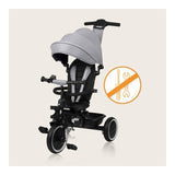 Tricicleta copii, Lionelo, Berry, 2 in 1, Multifunctionala, Suport picioare, Control al directiei, Scaun reversibil, Rotire 360 grade, Functie de roata libera, Utilizare pana la 5 ani, Constructie din otel, Conform cu standardul EN71, Gri
