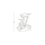 Tricicleta copii, Lionelo, Berry, 2 in 1, Multifunctionala, Suport picioare, Control al directiei, Scaun reversibil, Rotire 360 grade, Functie de roata libera, Utilizare pana la 5 ani, Constructie din otel, Conform cu standardul EN71, Gri