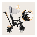 Tricicleta copii, Lionelo, Berry, 2 in 1, Multifunctionala, Suport picioare, Control al directiei, Scaun reversibil, Rotire 360 grade, Functie de roata libera, Utilizare pana la 5 ani, Constructie din otel, Conform cu standardul EN71, Gri