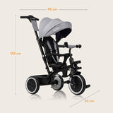 Tricicleta copii, Lionelo, Berry, 2 in 1, Multifunctionala, Suport picioare, Control al directiei, Scaun reversibil, Rotire 360 grade, Functie de roata libera, Utilizare pana la 5 ani, Constructie din otel, Conform cu standardul EN71, Gri