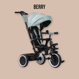 Tricicleta copii, Lionelo, Berry, 2 in 1, Multifunctionala, Suport picioare, Control al directiei, Scaun reversibil, Rotire 360 grade, Functie de roata libera, Utilizare pana la 5 ani, Constructie din otel, Conform cu standardul EN71, Verde