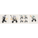 Tricicleta copii, Lionelo, Berry, 2 in 1, Multifunctionala, Suport picioare, Control al directiei, Scaun reversibil, Rotire 360 grade, Functie de roata libera, Utilizare pana la 5 ani, Constructie din otel, Conform cu standardul EN71, Gri