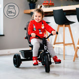 Tricicleta copii, Lionelo, Haari, Ultrapliabila, Multifunctionala, Suport picioare, Control al directiei, Scaun reversibil, Rotire 360 grade, Conform cu standardul european de securitate EN71, Verde