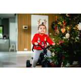 Tricicleta copii, Lionelo, Haari, Ultrapliabila, Multifunctionala, Suport picioare, Control al directiei, Scaun reversibil, Rotire 360 grade, Conform cu standardul european de securitate EN71, Verde