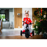 Tricicleta copii, Lionelo, Haari, Ultrapliabila, Multifunctionala, Suport picioare, Control al directiei, Scaun reversibil, Rotire 360 grade, Conform cu standardul european de securitate EN71, Verde