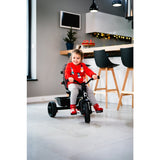 Tricicleta copii, Lionelo, Haari, Ultrapliabila, Multifunctionala, Suport picioare, Control al directiei, Scaun reversibil, Rotire 360 grade, Conform cu standardul european de securitate EN71, Verde