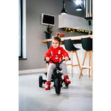 Tricicleta copii, Lionelo, Haari, Ultrapliabila, Multifunctionala, Suport picioare, Control al directiei, Scaun reversibil, Rotire 360 grade, Conform cu standardul european de securitate EN71, Verde