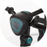 Tricicleta cu copertina si sezut reversibil Chipolino Derby teal