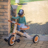 Tricicleta, Petite&Mars, Turbo, Editie limitata, 5 in 1, Multifunctionala, Vehicul de impins, Bicicleta cu/fara pedale, Cu maner de ghidaj, Detasabil, Roti din cauciuc, Pana la 25 kg, 1.5-5 ani, Green Twist