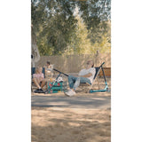 Trotineta, Lionelo, Whizz, Pentru Acrobatii, Rulmenti ABEC-9, 20 - 100 kg, Cadru din aluminiu, Usoara, 3.5 kg, Verde/Negru